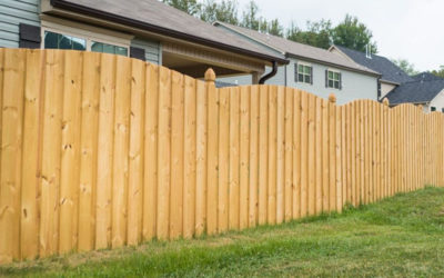 Best Woods for Fencing: A Comprehensive Guide