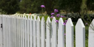 Traditional Wooden Fence in Residential Yard