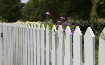 Unveiling the Anatomy of Fences: Understanding Key Parts and Biesemeyer Components