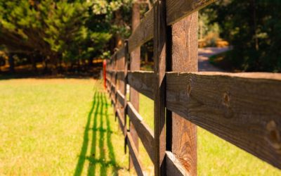 Top 10 Types of Fences for Your Yard: Pros and Cons