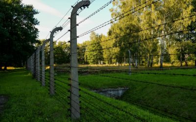 Enhancing Property Security with Custom Fencing Solutions