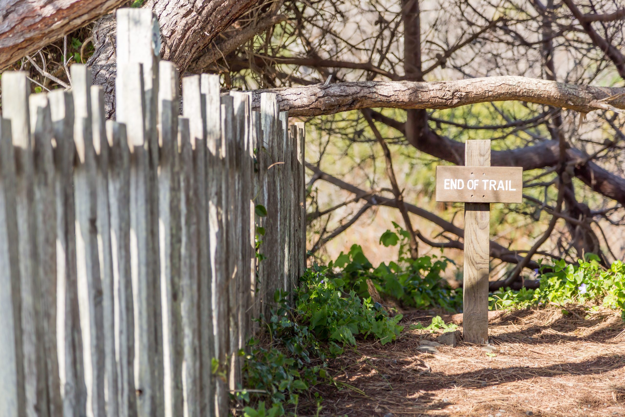 Wooden cross on nature with a wooden fence next to it Elegant wrought iron fence design